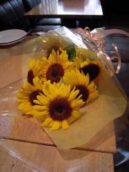 DSCN3109.jpg