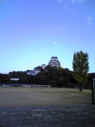 2007-11-12 021.jpg