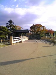 2007-11-12 019.jpg