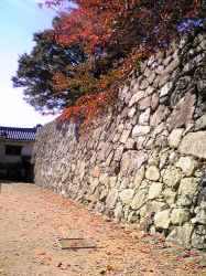 2007-11-12 033.jpg