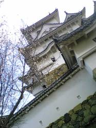 2007-11-12 026.jpg