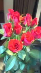 F1000018.jpg F1000018.jpg