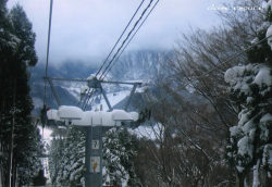 ハチ高原 ハチ高原
