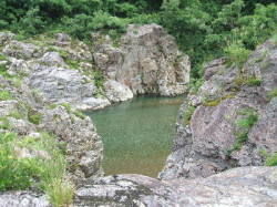 img0037.jpg