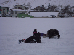 DSCN2557.jpg DSCN2557.jpg