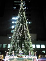2007-12-10.jpg 2007-12-10.jpg